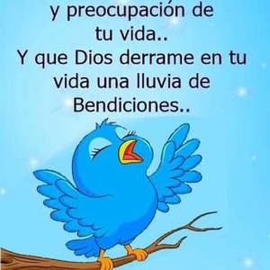 Meet your Posher, Elsa